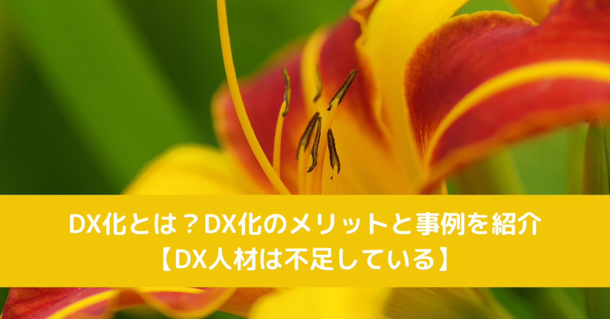 DX化とは？DX化のメリットと事例を紹介【DX人材は不足している】